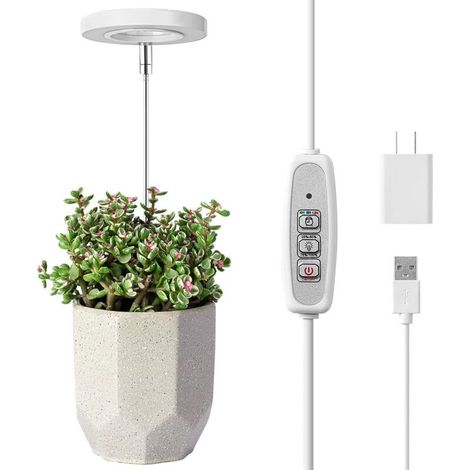 Lampe de croissance USB pour plantes - fonction minuterie - convient à l'éclairage d'appoint des fleurs et des plantes vertes (1/3)