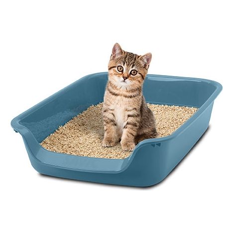 Bandeja WC para gatos "Junior Toilet" apto para todo tipo de gatos, con bandeja de entrada, material duradero