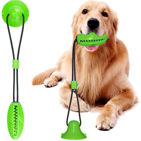 Jouet interactif anti-stress pour chien avec ventouse