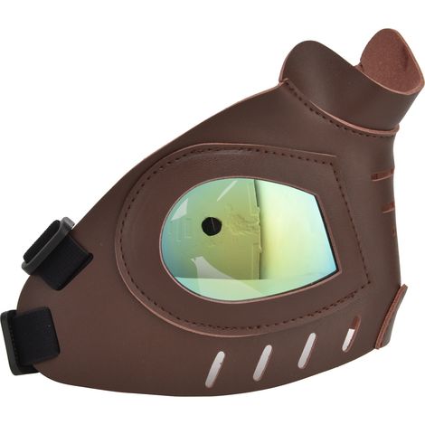 Gesichtsmaske für Hunde, blendfreie Schneebrille, Skibrille, Hundezubehör für draußen (1/5)
