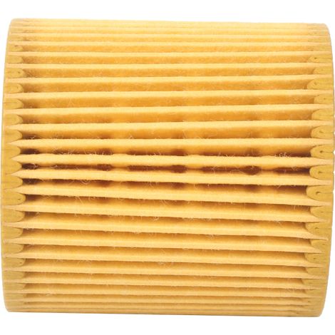 Motorölfilter U2021-4302, passend für Ford Ranger 3.2 und 2.2 TDCi (1/5)