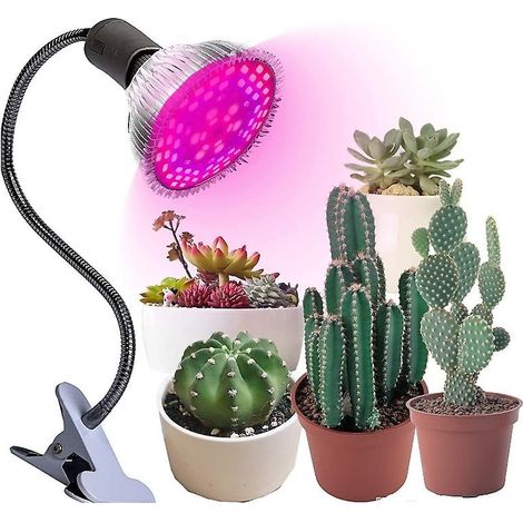 Lampe horticole LED à spectre complet 10 W E27 pour serres et plantations. (1/5)