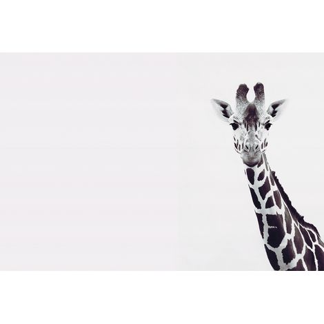 Papier peint panoramique noir et blanc Tapisserie panoramique animaux pour salon Papiers peints panoramiques girafe (1/2)