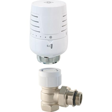 Robinet thermostatique T302 équerre 3/4 en Laiton Blanc (1/4)