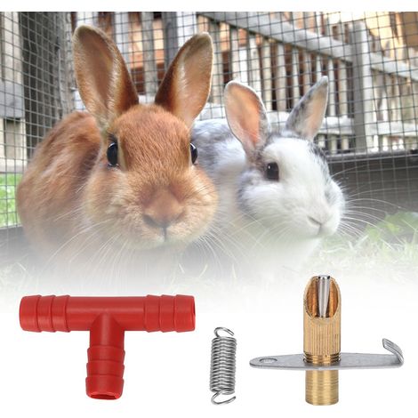 Lot de 100 abreuvoirs automatiques pour lapins (fontaine à eau en forme de gueule de canard) (1/5)