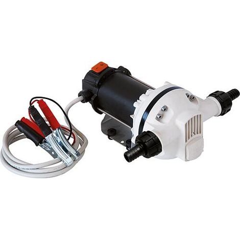 Pompe à membrane Piusi Suzzarablue DC 24V, 310W