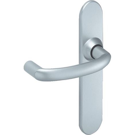 Ensemble sur grande plaque ALTO chromé velours bec-de-cane - VACHETTE