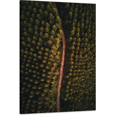 Leinwanddruck „Naturstraße aus der Vogelperspektive“, 60x90