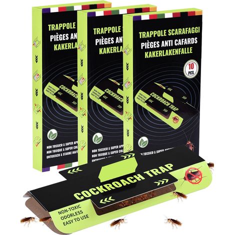 30 PCS Piege Cafard et Blattes Produit Anti Cafard Puissant Professionnel (1/5)