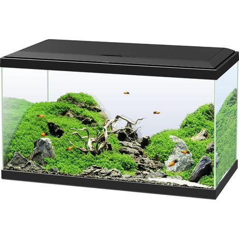 1 Aquarium 60 Noir,58L,Filtre CF80,Système LED,Eau Claire,Poissons