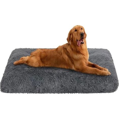 Panier chien, Matelas en Peluche Molle pour Chiens, Grand lit pour Chiens, Coussin Chien Lavable - 1007010cm - GRIS (1/4)