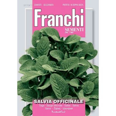 SEMI DI SALVIA OFFICINALE FRANCHI SEMENTI