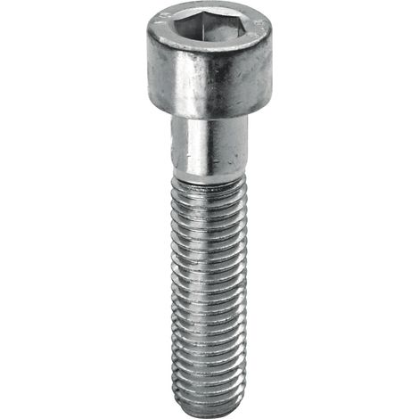 Ambrovit VITE IN ACCIAIO TC CON ESAGONO INCASSATO  M 8x20 mm. 20.00 decine