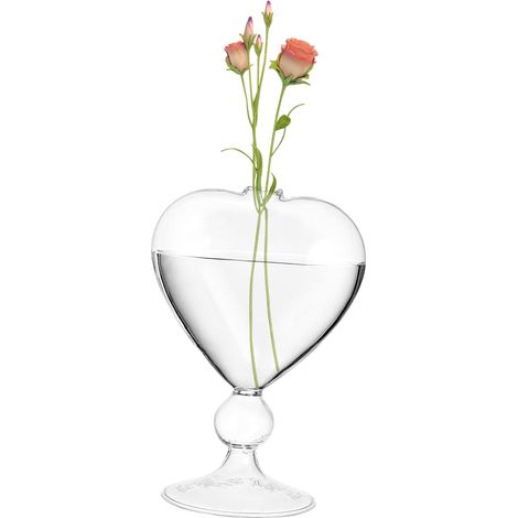 Vase Hydroponique Verre Transparent Contenant à Fleurs pour Arrangements Floraux Décoration Intérieur De Bureau (1/5)