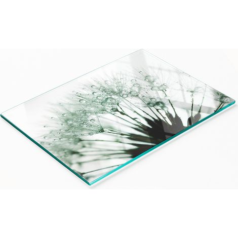Tablero decorativo multifuncional de vidrio templado con diseño de dientes de león, 80x52 cm. (1/5)