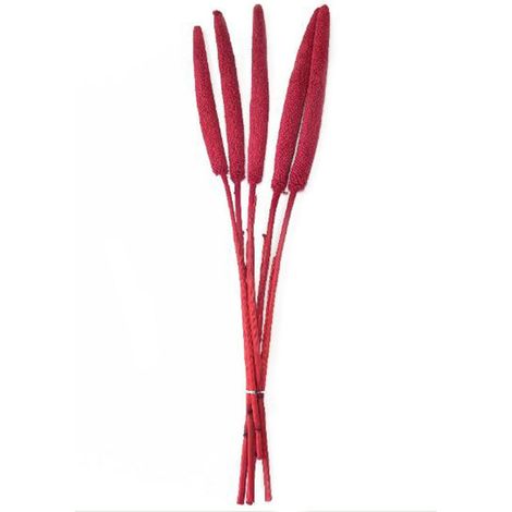 Confezione Potpourri colore rosso decorazione per interno h 78 cm (1/2)
