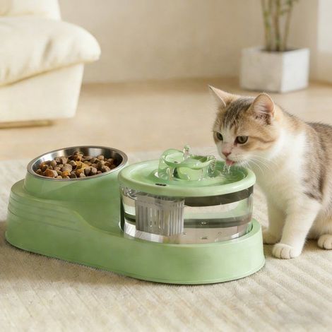 Fontaine eau chat chien – Grande capacité, filtration – Gamelle inox – Vert – Sans BPA (1/4)