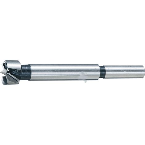 Foratrice forstner 10x90mm.