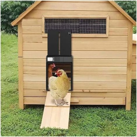 Porta di pollo coop automatico in lega di alluminio Impermeabile e resistente, batteria-3 anni – Installazione rapida in meno di 10 min (1/5)