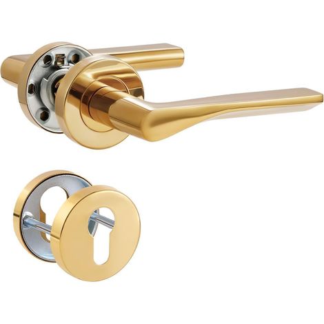 Poignée de Porte Doré PVD, Garniture de Prothèse en Acier Inoxydable Mat, Poignée pour Porte d'Entrée et Porte Intérieure, Forme en L, Rosace Ronde, PZ - Cylindre de Profil (1/5)