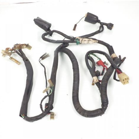 [GEBRAUCHT] [GEBRAUCHTWAREN] Originales Elektrokabelbaum für Honda 125 Lead (1/5)