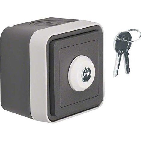 Berker Berker W.1 Interruptor con llave gris mate