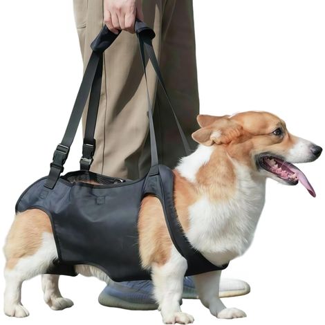 Harnais pour chiens avec pattes arrières et support pour la hanche et poignées, offre une sécurité pour les chiens handicapés, blessés ou âgés. Convient aux chiens de 4 à 11 kg. (1/5)
