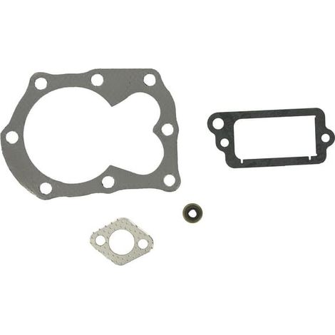 Kit BRIGGS ET STRATTON 498526