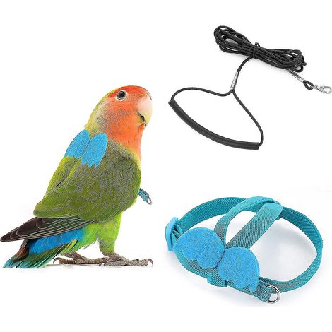 Verstellbares Vogelgeschirr mit 2-Meter-Leine, Outdoor-Flugset mit Trainingsseil für Papageien und Nymphensittiche – Hellblau (1/5)