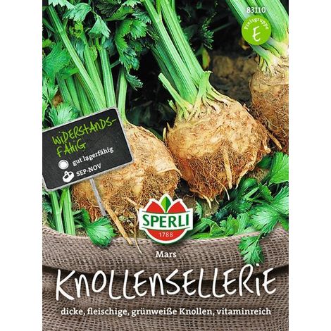 Sperli Knollensellerie Mars - Gemüsesamen (1/4)