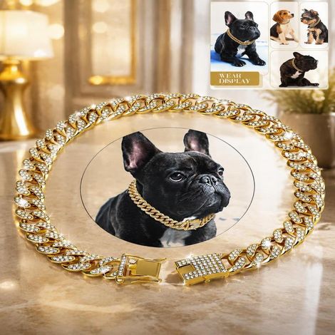 Irovami Collier pour chien orné de strass et d'une chaîne cubaine, accessoire pour animaux de compagnie, couleur or (1/5)