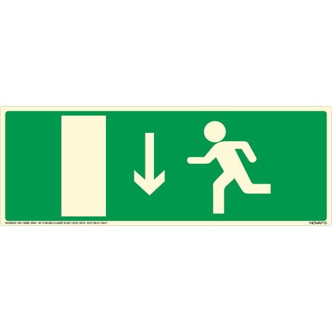 Panneau photoluminescent Sortie de secours en bas - Rigide 330x120mm - 4030944
