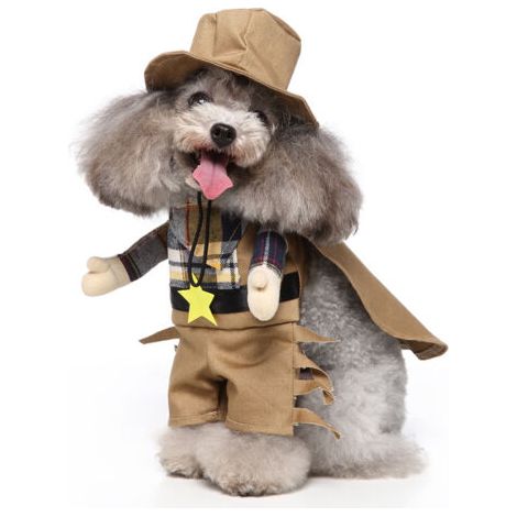 BUNTHAUS Chien Stand Up Vêtements pour chiens drôles Stand Up Dress Up(Cow-boy M) (1/5)