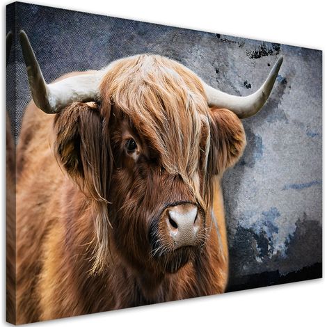 Tableau déco Vache écossaise Animaux de la nature 90x60 (1/5)