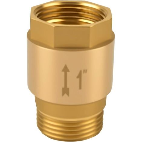 Clapet Anti-retour 1", Clapet Anti-retour Des Eaux Usées en Laiton, Inoxydable et étanche 1 pouce AG vers IG, pour Pompe à Eau, Pompes de Jardin, Machines à Laver, (1/5)