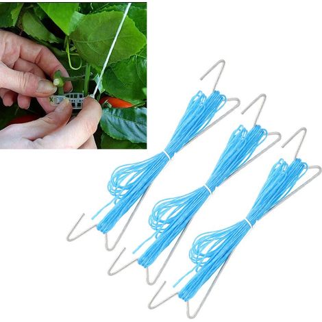 Crochet de Soutien pour Tomates (10PCS) avec Fil de 10m - Support Jardinière en Fer & PP pour Plantes à Croissance Verticale (Cucurbitacées, Melons, Pois) (1/5)