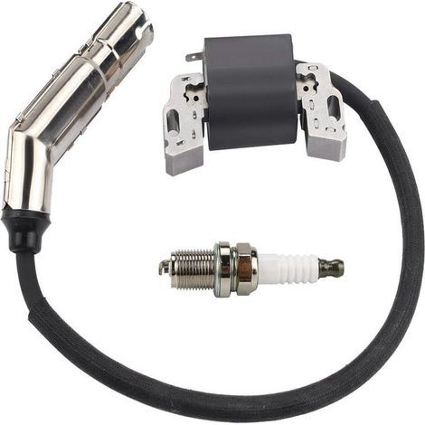 Bobine d'allumage haute tension compatible avec modèles 715231, 595304, 795315, 592841 (1/5)