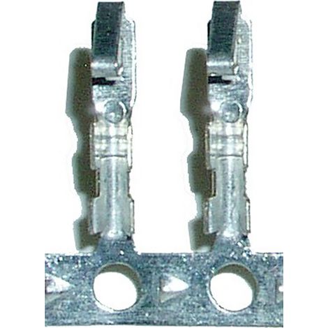 BeMatik - Metallic Terminal MOLEX (M/connecteur femelle B) 10pin