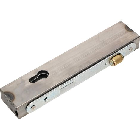 KOTARBAU Cadenas à rouleau avec boîtier de serrure 30 x 50 x 245 mm pour cylindre profilé pour portes d'entrée (1/5)