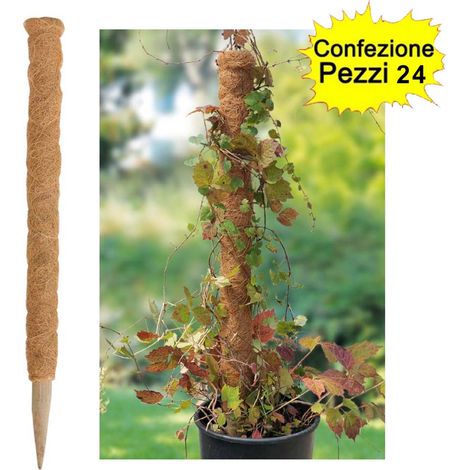 Tutori in legno fibra di cocco per rampicanti confezione da 24 pezzi 35-45 mm x altezza 120 cm (1/3)