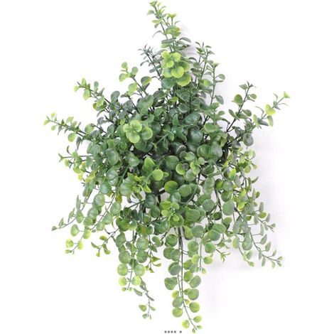 Peperonia artificiel en chute H 40 cm petites feuilles plastique