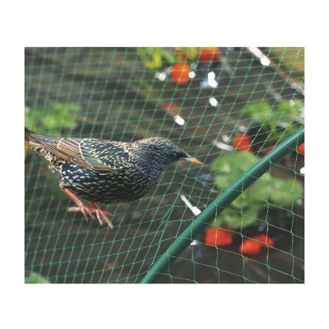 Filet de protection oiseaux birdnet 10 x 5