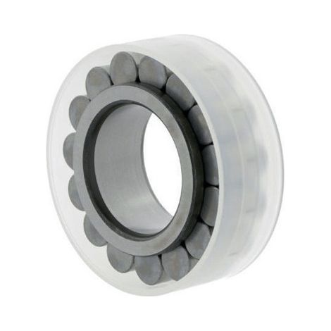 Cuscinetto a rulli cilindrici INT RSL182210. 50mm ext. 81,4 mm largo 23mm Ina