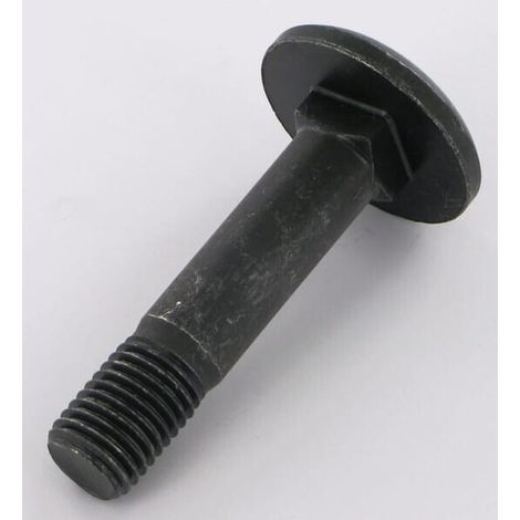 Vite a testa piatta M16x75 10,9 RABE 22044908 (1/2)