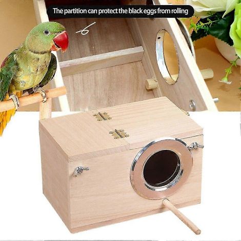Incubateur automatique pour œufs d'oiseaux, pour l'incubation à domicile et l'élevage contrôlé des oiseaux.-AquaForge (1/4)