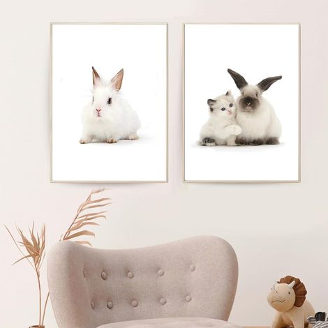 Poster Kinderzimmer Kaninchen 2er Set 50x70cm 50x70cm B (1/5)