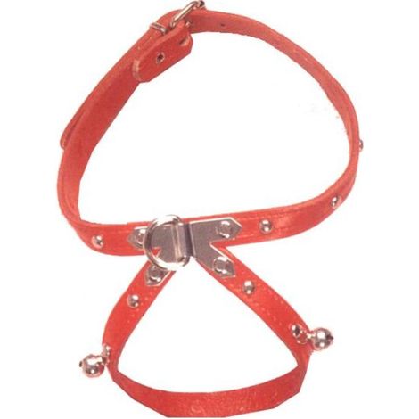 FPLUS collar petral cuero+fornitura perro 500x13 mm 02006 , collar petral cuero+fornitura perro 500x13 mm 02006
