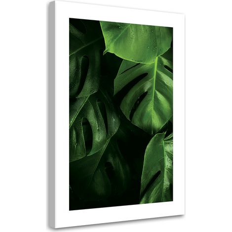 Tableau sur toile Gouttes de rosée sur les feuilles de Monstera 60x90 (1/5)