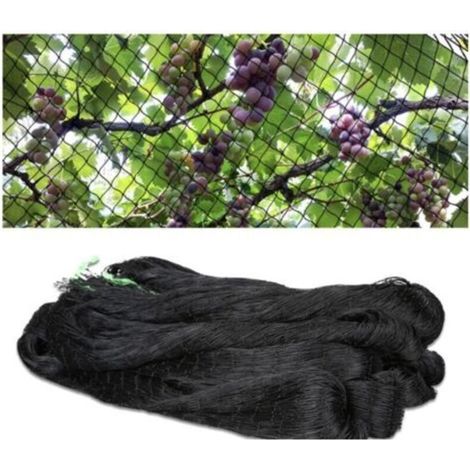 5M x 25M-Filet Anti-Oiseaux Filet en Nylon Noir pour Fruit Plant Fruit Filet Anti-Oiseaux Filet