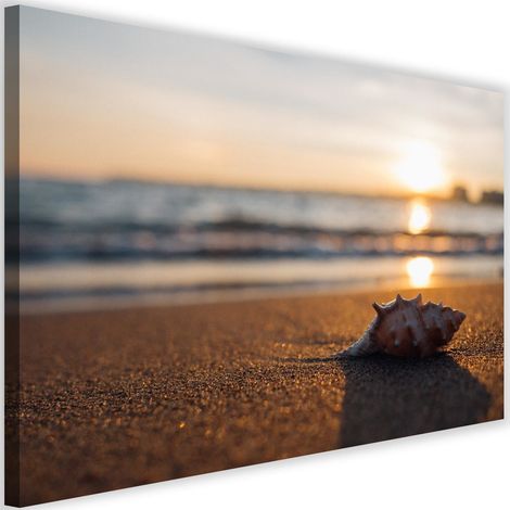 Tableau sur toile Coquillage Plage Mer Sable 60x40 (1/5)